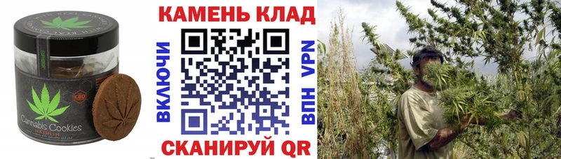 ОМГ ОМГ ONION  Соль-Илецк  Cannafood марихуана 