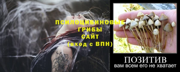 марки nbome Белокуриха