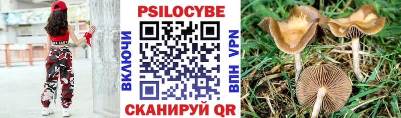 Галлюциногенные грибы Magic Shrooms  даркнет сайт  маркетплейс наркотические препараты  Соль-Илецк 