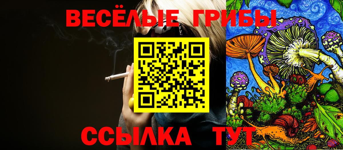 Соль-Илецк  Псилоцибиновые грибы прущие грибы  Вход с VPN 