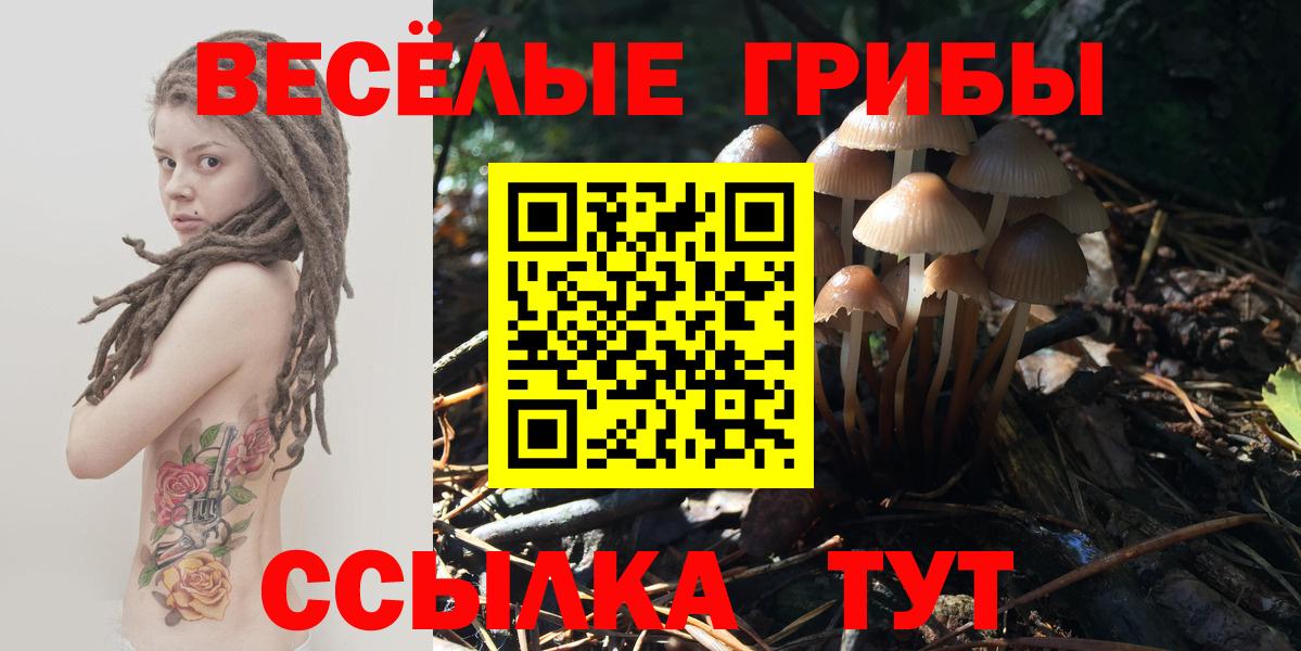 Галлюциногенные грибы ЛСД Соль-Илецк